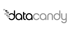 Ingenico-partner-Datacandy_Grey.png