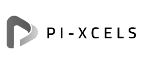 Ingenico-partner-PI-xcels_Grey.png