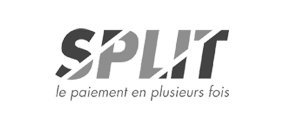 Ingenico-partner-Split_Grey.png