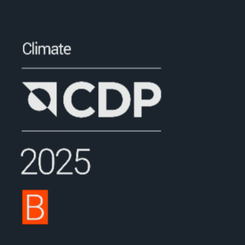 Ingenico CDP B score