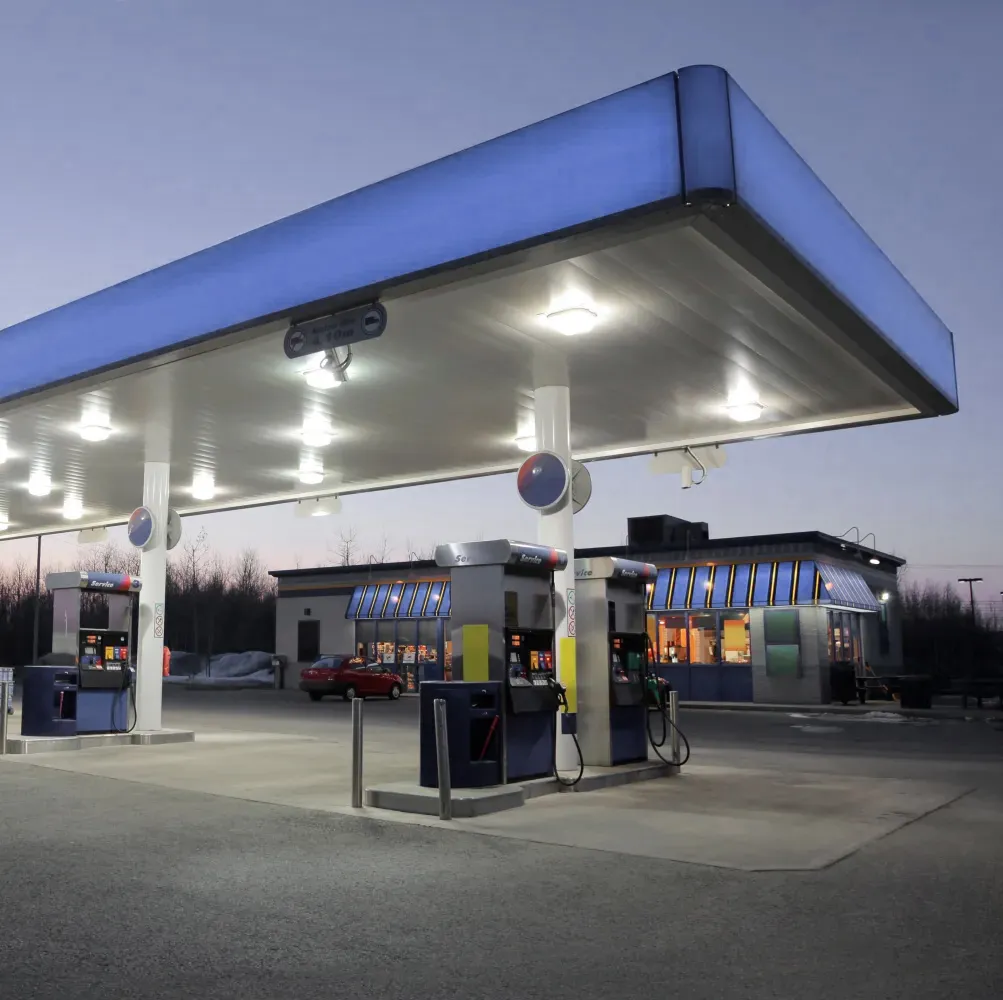 Ingenico Atex